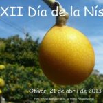 XII DIA DE LA NISPOLA
